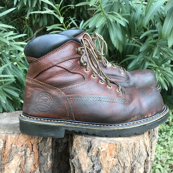 irish setter farmington